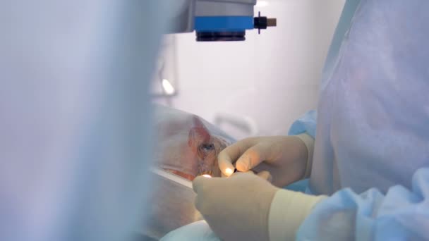 Een arts bereidt oog chirurgie materialen in de buurt van de patiënt. — Stockvideo