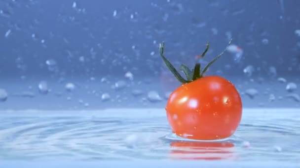 Eine leckere frische Tomate fällt ins Wasser. — Stockvideo
