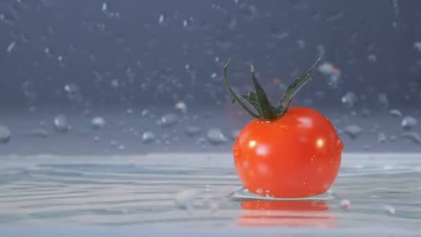 Eine leckere frische Tomate fällt ins Wasser. — Stockvideo