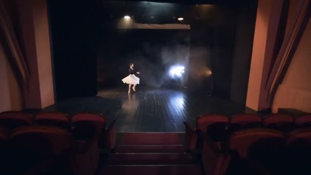 一个被放大的芭蕾舞演员用弓完成她的表现. — 图库视频影像