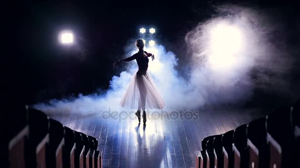 En vy från mellan sittande rader på en dansande ballerina. — Stockvideo