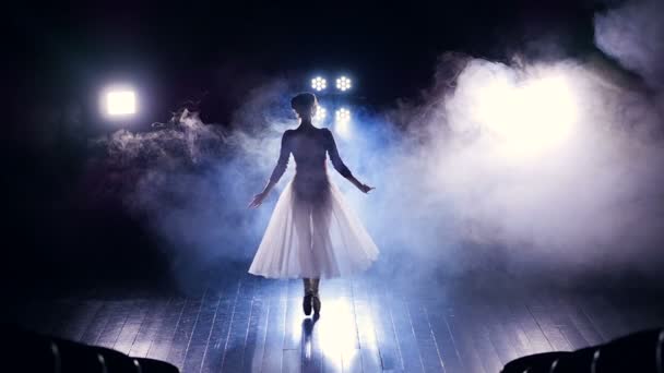 Blick von oben auf eine tanzende Ballerinas-Silhouette. — Stockvideo