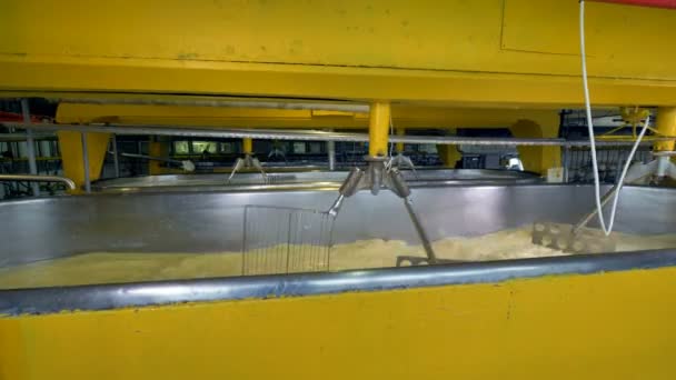 Várias fileiras de cubas de leite amarelo com agitadores de metal . — Vídeo de Stock