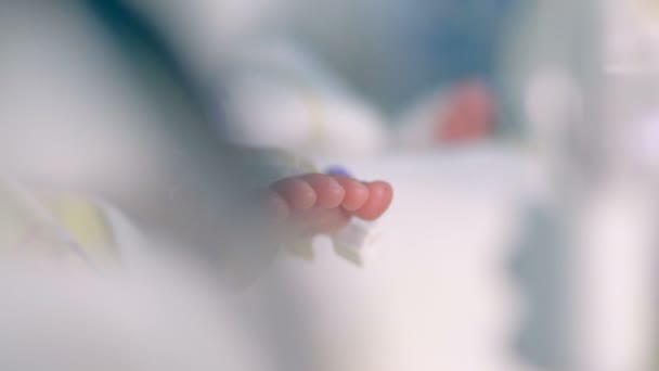 Ayak ve ayak parmakları bir bebek yoğun bakım İnkübatör içinde. — Stok video