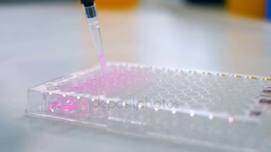 Birçok örnek kapları sıvı pembe dönüm ile bir dizi.