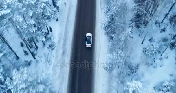 Flybilde av en bil som kjører på vinterlandevei i snødekt skog . – stockvideo