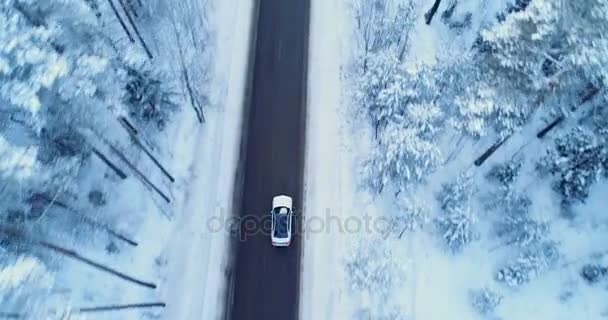 Машина едет по зимней дороге. Зимняя дорога, деревья и кусты, покрытые снегом . — стоковое видео