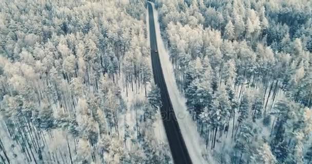 Вид с воздуха на автомобиль, едущий по заснеженной лесной дороге. 4K . — стоковое видео
