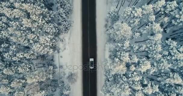 Auto na zimní venkovské silnici v zasněženém lese. Letecký pohled. 4k. — Stock video