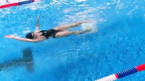 Woman swimming in pool. Aerial view. — Stock Video