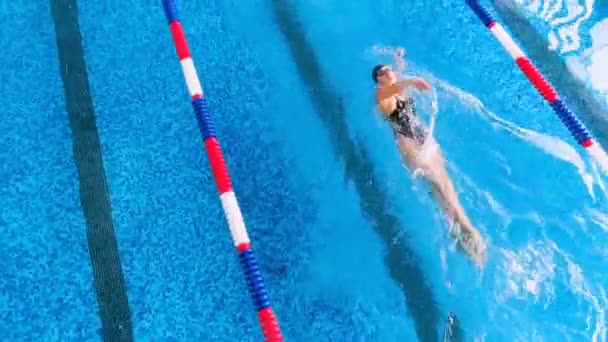 Deportista en una piscina nada lejos. Vista superior . — Vídeo de stock