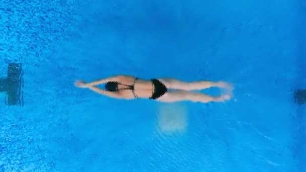 AÉRIAL : nageur professionnel dans une piscine . — Video