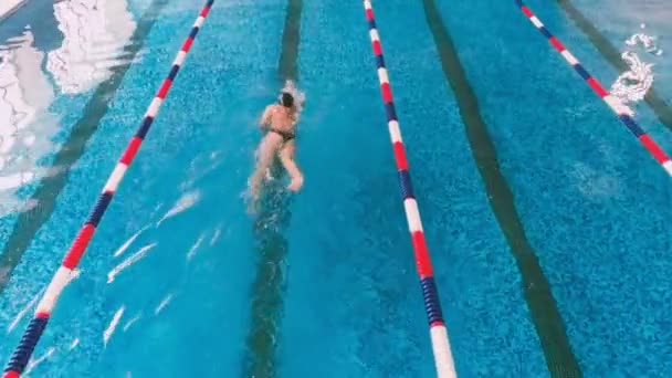 Professionele atleet in het zwembad. Zwemmer racen in water zwembad. Luchtfoto. — Stockvideo