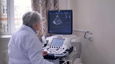 Deneyimli bir doktor bir ultrason ekran görünüyor.