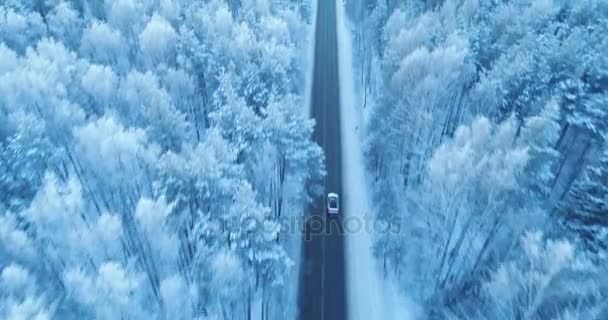 Κεραία βολή ενός αυτοκινήτου που κινείται σε ένα δασικό δρόμο χειμώνα. — Αρχείο Βίντεο