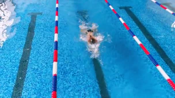 स्विमिंग पूलमध्ये व्यावसायिक महिला पोहणारा. हवाई दृश्य. 4K . — स्टॉक व्हिडिओ