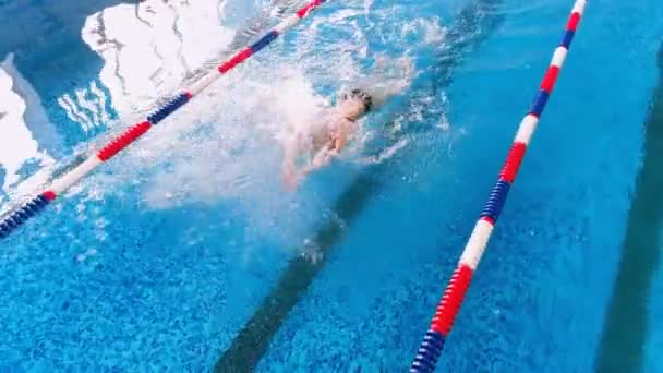 Nageur professionnel dans une piscine. Vue aérienne. 4K . — Video