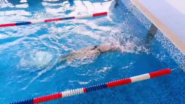 Nadador terminar a corrida de natação em uma piscina. Vista superior . — Vídeo de Stock