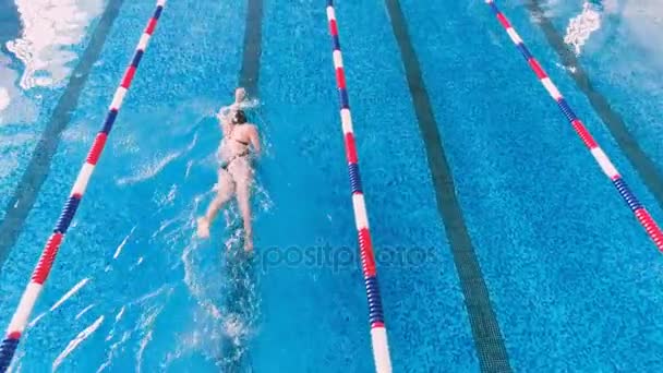 Entrenamiento profesional de nadadores en una piscina. Disparo aéreo . — Vídeo de stock