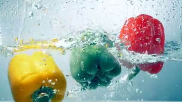 Three different bell peppers float in a water tank. — Stock Video