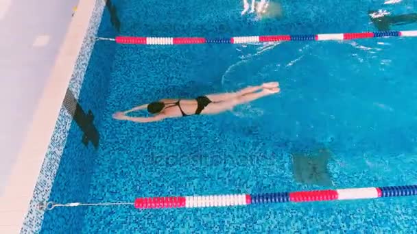 Girato dall'alto di addestramento nuotatore professionale in piscina . — Video Stock