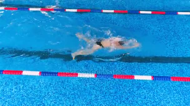 Nageur professionnel dans la piscine. Mouvement lent . — Video