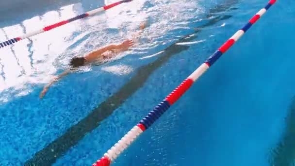 Nadador profissional feminino em uma piscina . — Vídeo de Stock