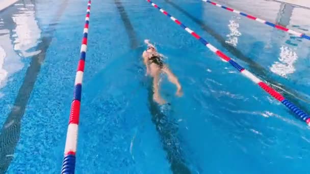 A female swimmer practices moving on her back. — Stock Video