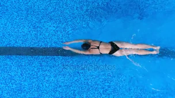 Egy nő pillangó stílusban úszik, és tartja a fejét víz alatti. — Stock videók