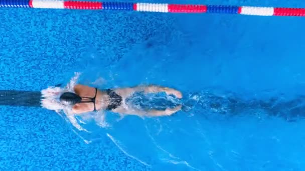 En simmare använder hennes starka lemmar för att göra butterfly stroke. — Stockvideo