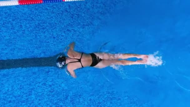 Una mariposa perfecta por una nadadora femenina mostrada desde arriba . — Vídeos de Stock