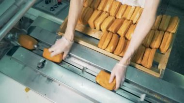 Ambalaj için pişmiş pasta yükleme işçileri ellerinde Üstten Görünüm.