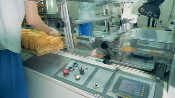 Un travailleur charge de la pâte feuilletée dans une machine à emballer . — Video