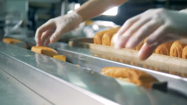 A close view on pastry loaded into a packaging line. — Stock Video