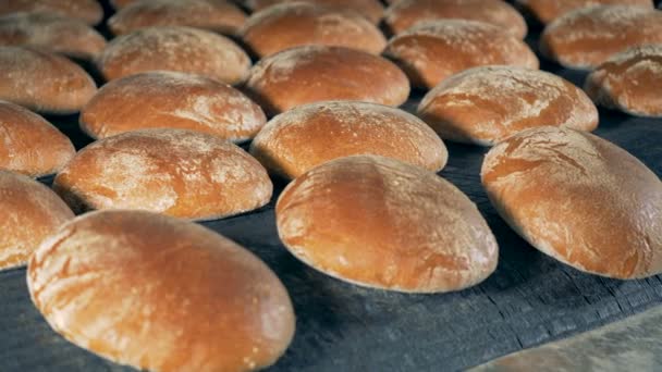 Runde Brotlaibe verlassen den Ofen auf einem Band. — Stockvideo