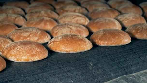 Reihen von gebackenen runden Brotlaiben bewegen sich von einem Band. — Stockvideo