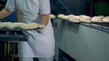 Bir işçi ekmek somunları hazırlar ve onları bir konveyör koyar.