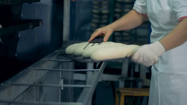 Um trabalhador prepara pães para a banca e faz cortes de superfície . — Vídeo de Stock