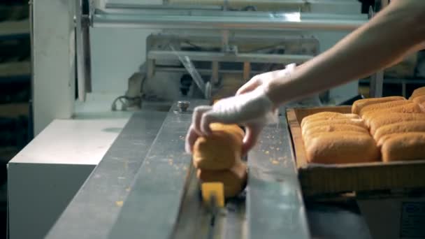 Massa folhada crosta fresca carregada na máquina de embalagem . — Vídeo de Stock