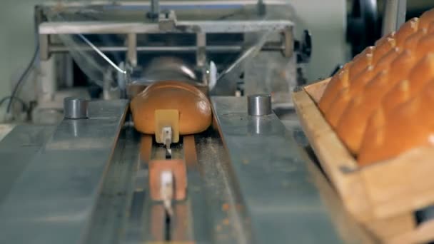 An endless supply of white bread loaves loaded into a packing machine. — Stock Video