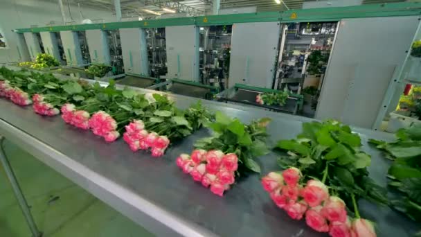 Imágenes del timelapse de un equipo de procesamiento de flores . — Vídeos de Stock