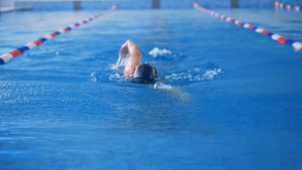 Une athlète féminine nage dans une piscine en utilisant chaque bras à son tour . — Video