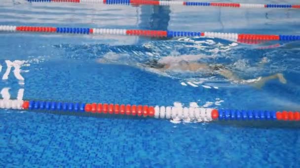Una nuotatrice si muove sott'acqua al rallentatore . — Video Stock
