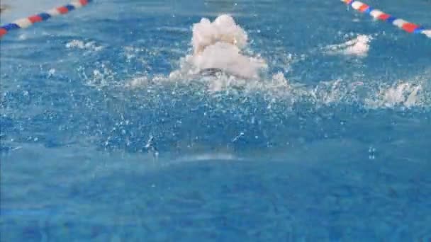 Een vrouw komt naar voren uit het water met een ander vlinderslag. — Stockvideo