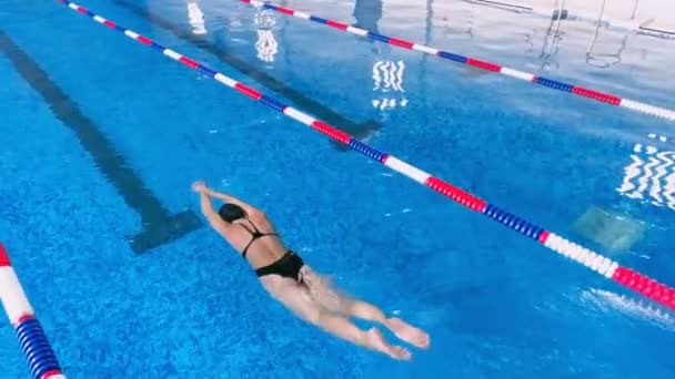 Donna che nuota in una piscina. Rallentatore . — Video Stock