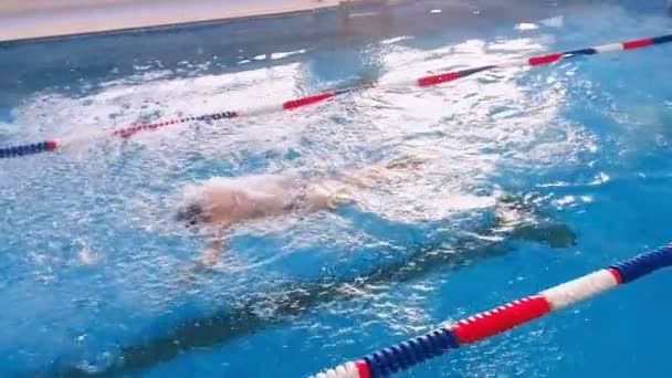 Professionele zwemmer opleiding in zwembad. Slow motion. — Stockvideo