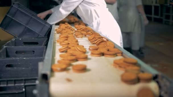 Os biscoitos estão se movendo no transportador . — Vídeo de Stock