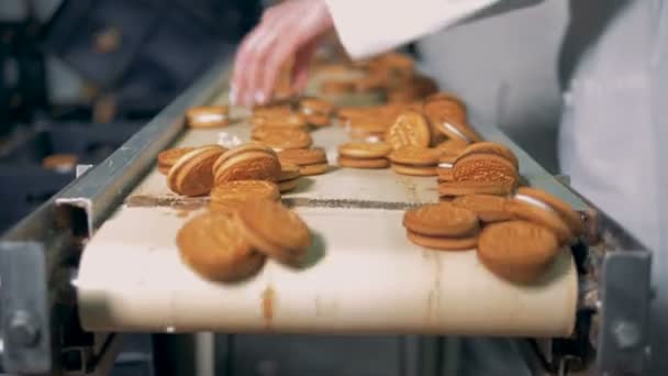 Sušenky se pohybují na okraji dopravník. — Stock video