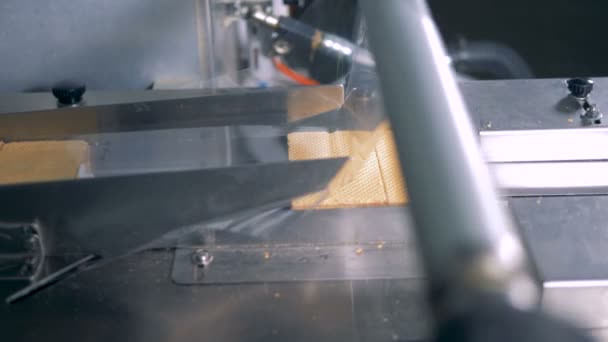 Waffle yığınları konveyör üzerinde hareket ediyor ve sarılı. — Stok video