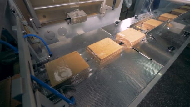 Een lange stapel wafels enkel verpakt in de doorzichtige plastic wrap bewegen op de transportband. 4k. — Stockvideo